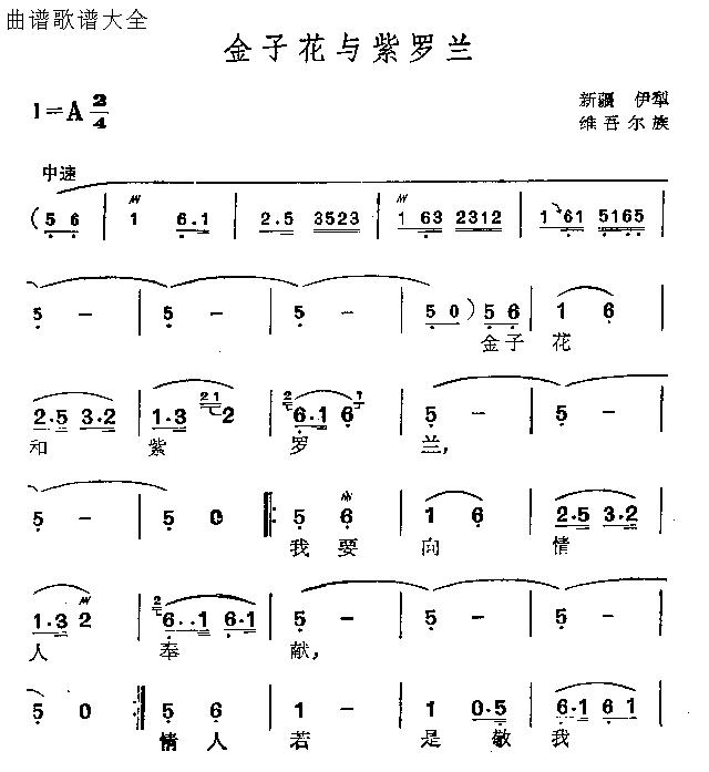 金子花与紫罗兰