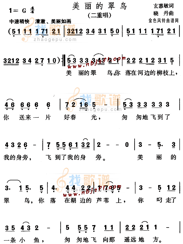 美丽的翠鸟(儿童歌)