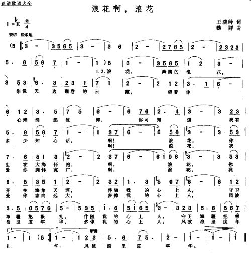浪花啊，浪花