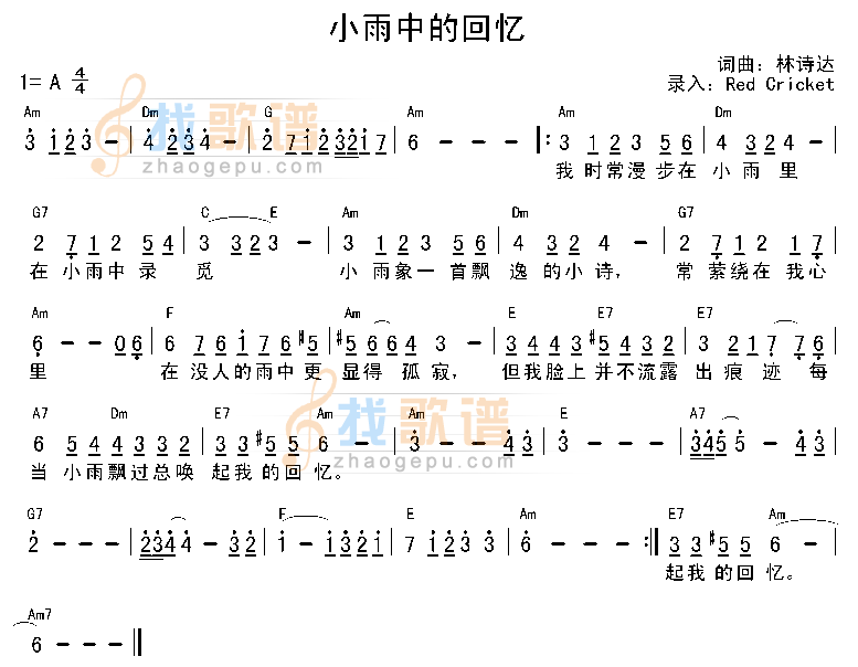 小雨中的回忆