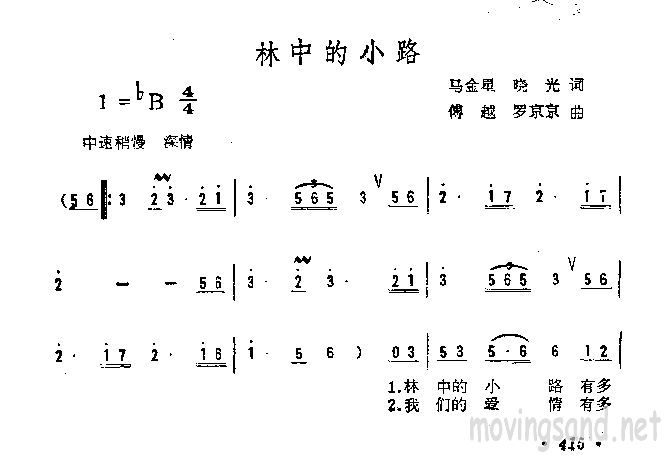 林中的小路