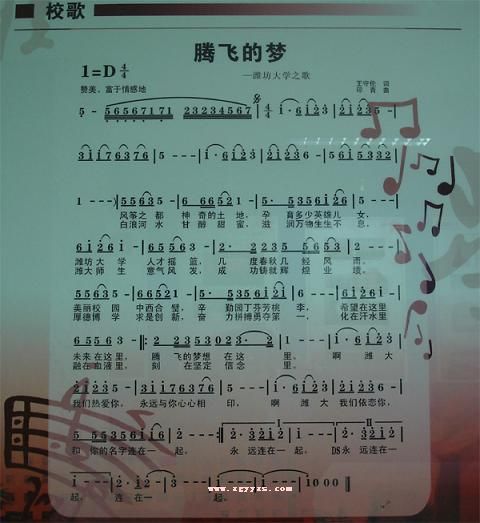 腾飞的梦