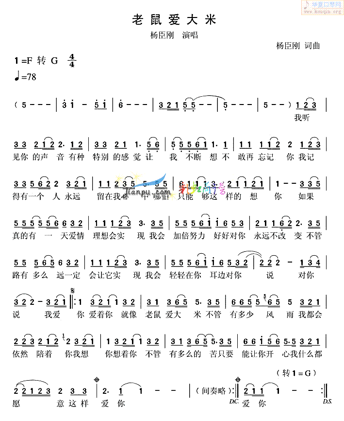 老鼠爱大米