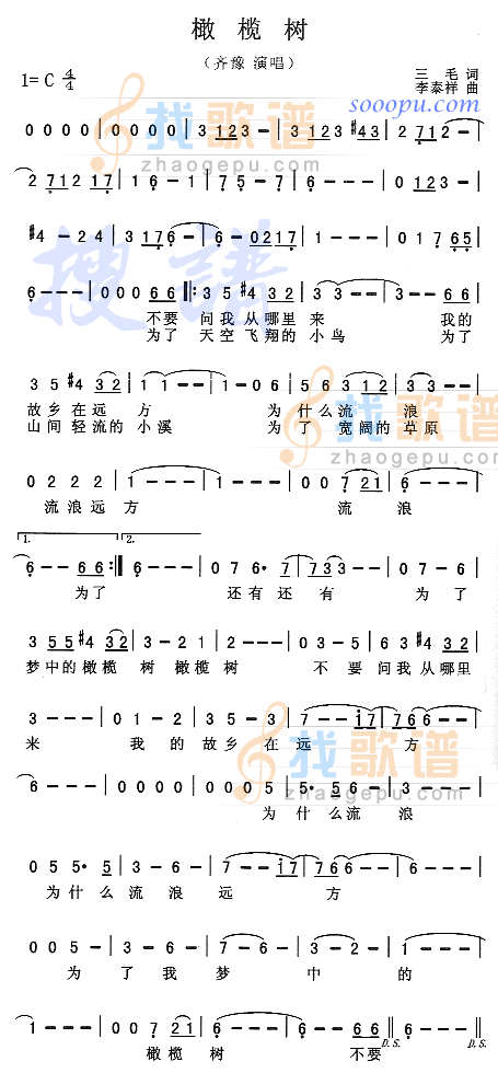 橄榄树