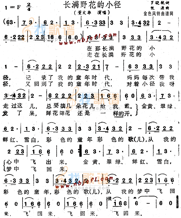 长满野花的小径