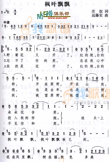 枫叶飘飘