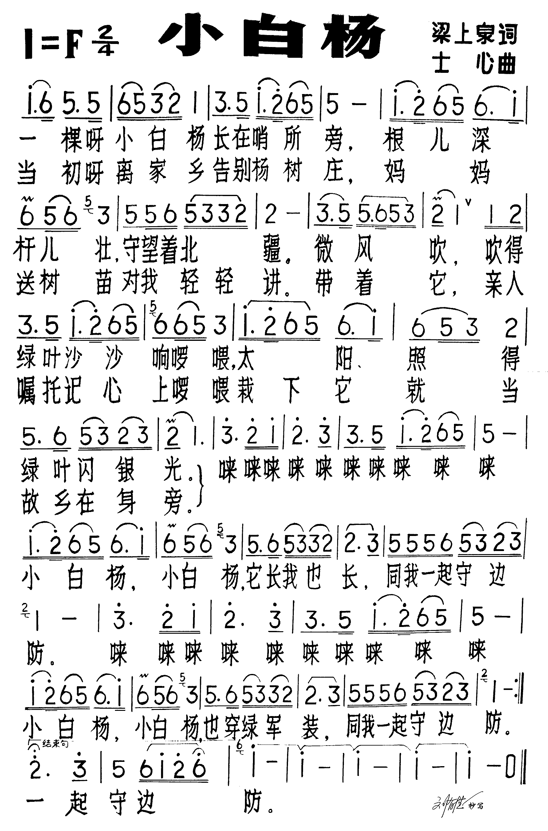 小白杨