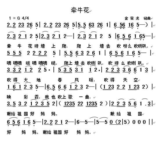 牵牛花