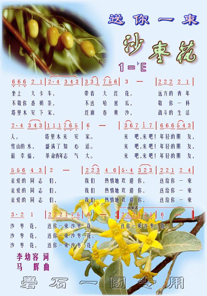 送你一束沙枣花（彩）