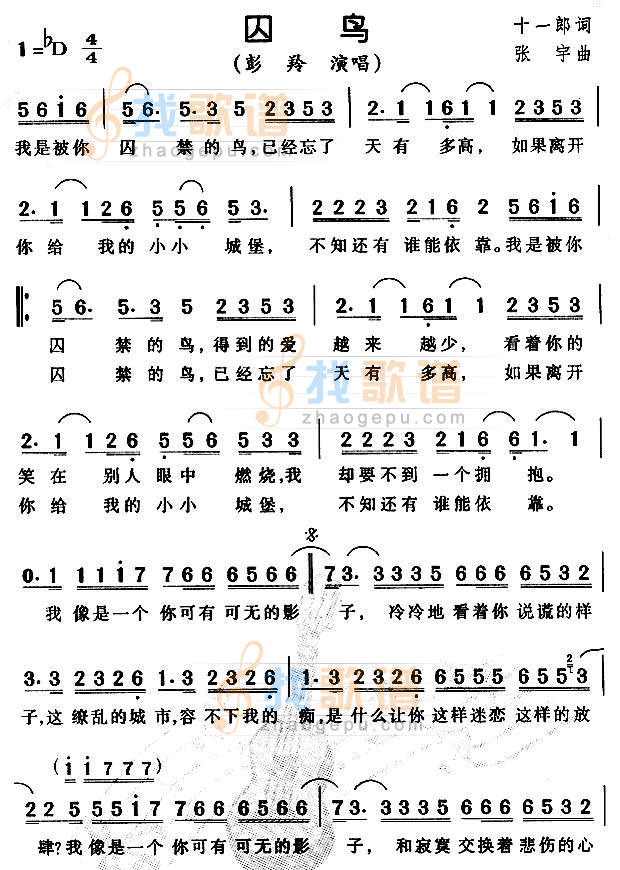 囚鸟