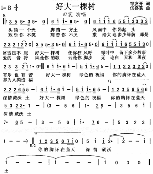 好大一棵树