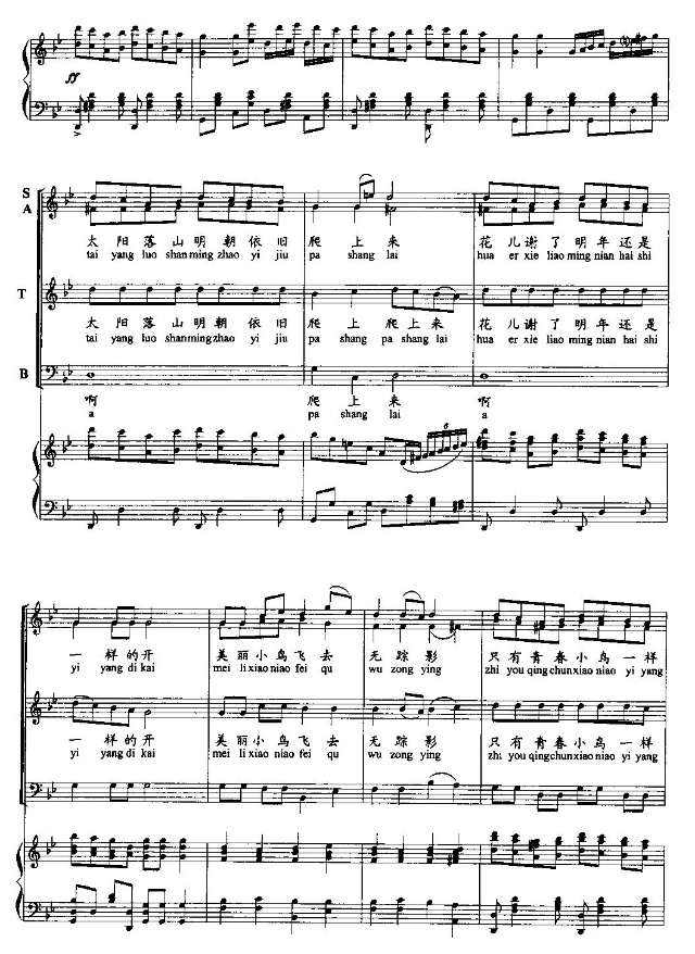 青春舞曲