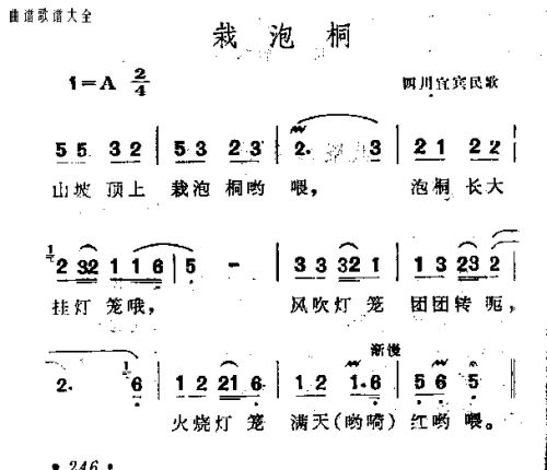 载泡桐