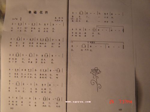 幸福花开