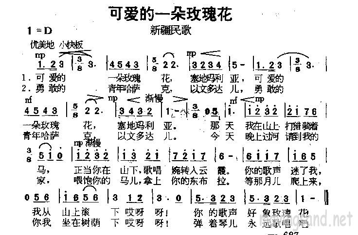 可爱的一朵玫瑰花