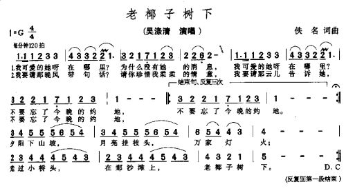 老椰子树下