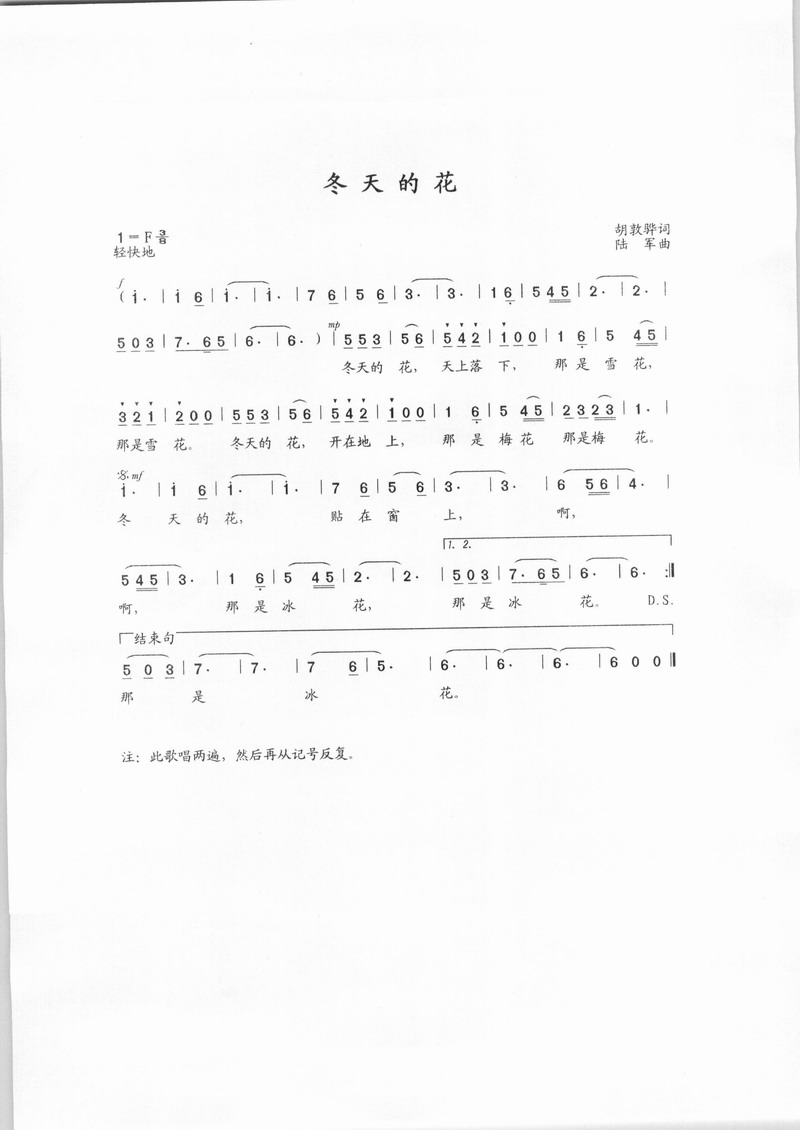 冬天的花