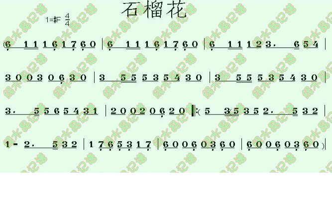 石榴花