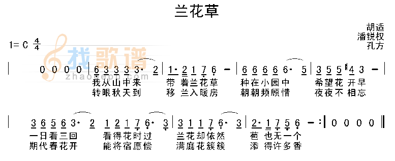 兰花草