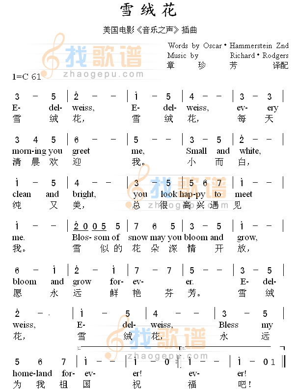 雪绒花