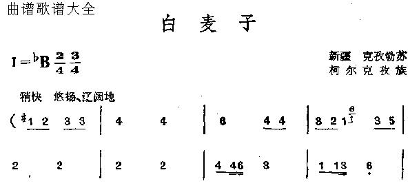 白麦子