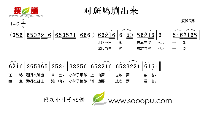 一对斑鸠蹦出来
