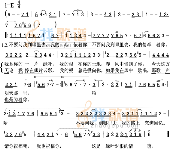 绿叶对根的情意