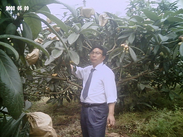我的照片