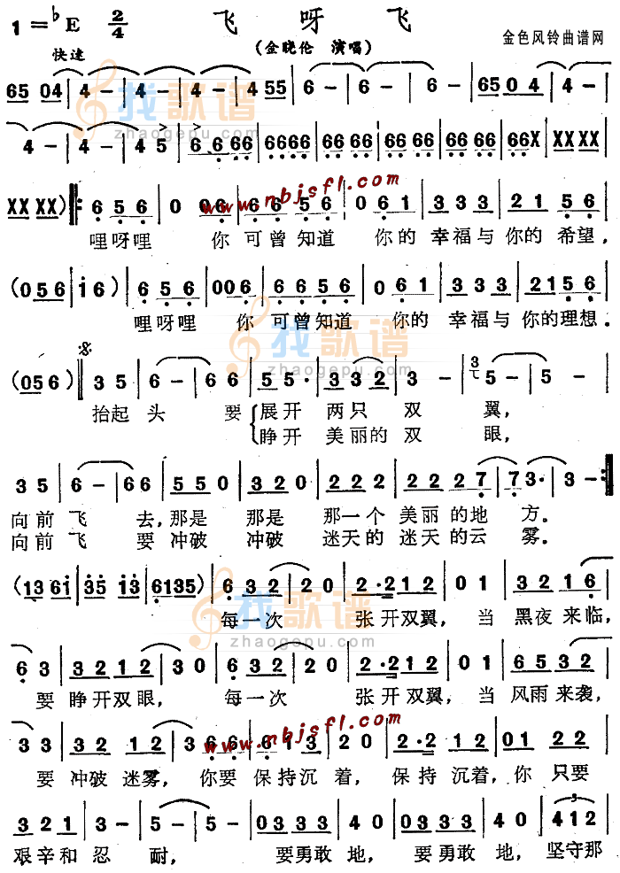 飞呀飞