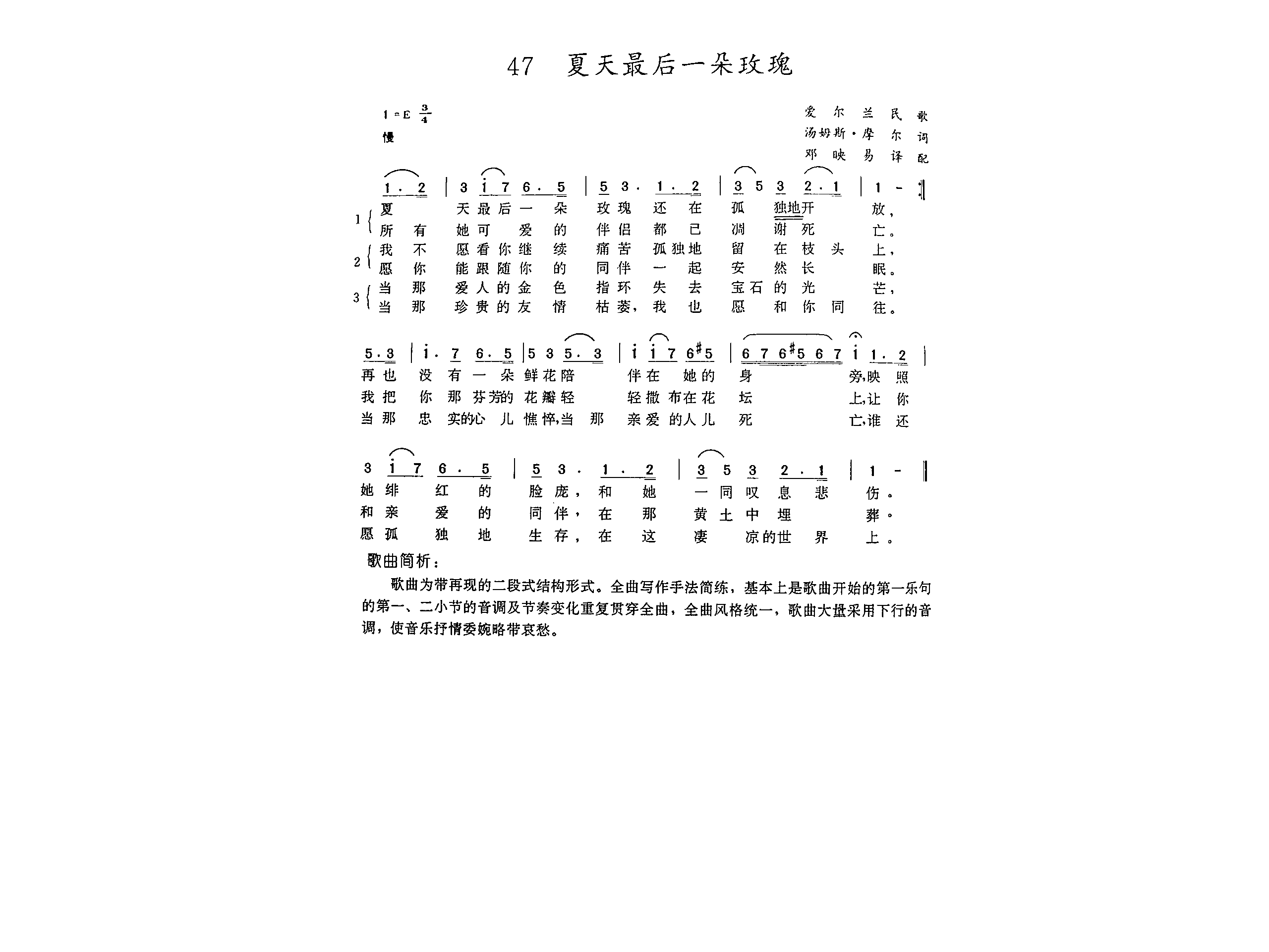 夏天最后一朵玫瑰