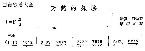天鹅的翅膀
