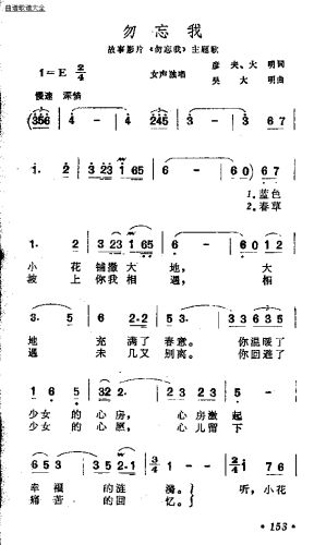 勿忘我