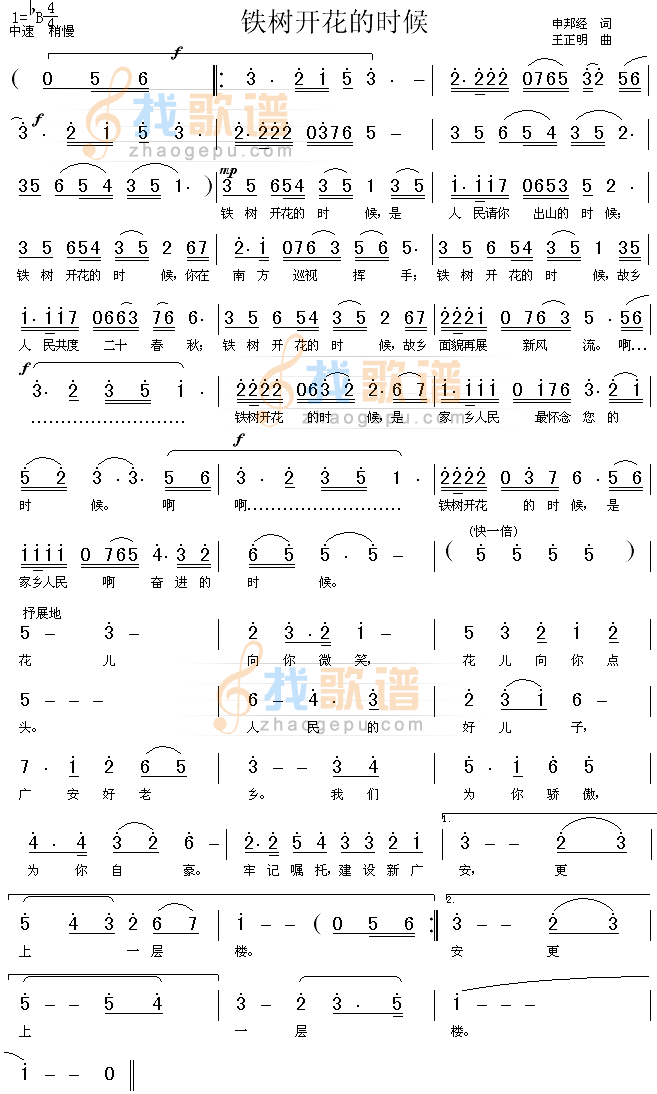 铁树开花的时候