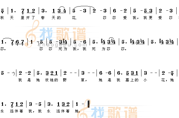 秋天里的春花2