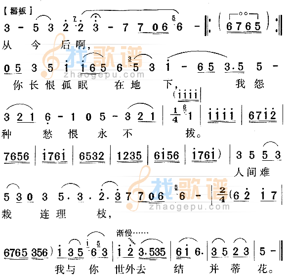 问紫鹃红楼梦