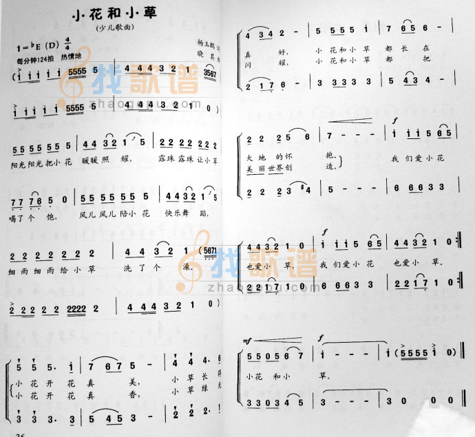 小花和小草