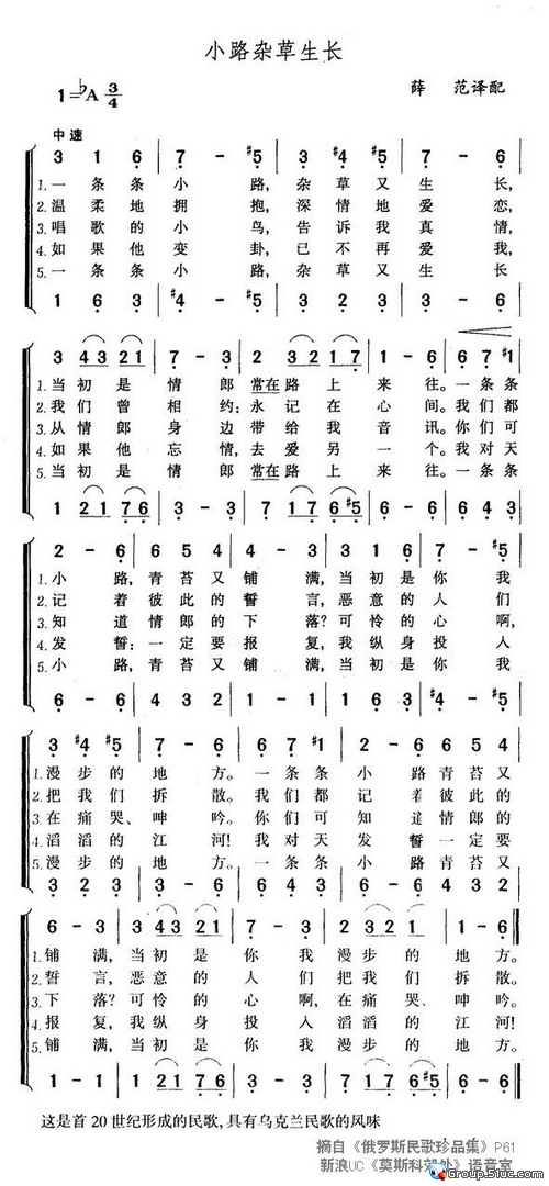 小路杂草生长
