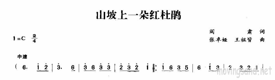 山坡上一朵红杜鹃