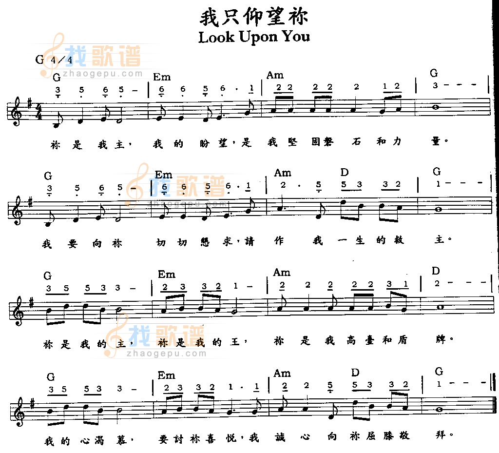 我只仰望你