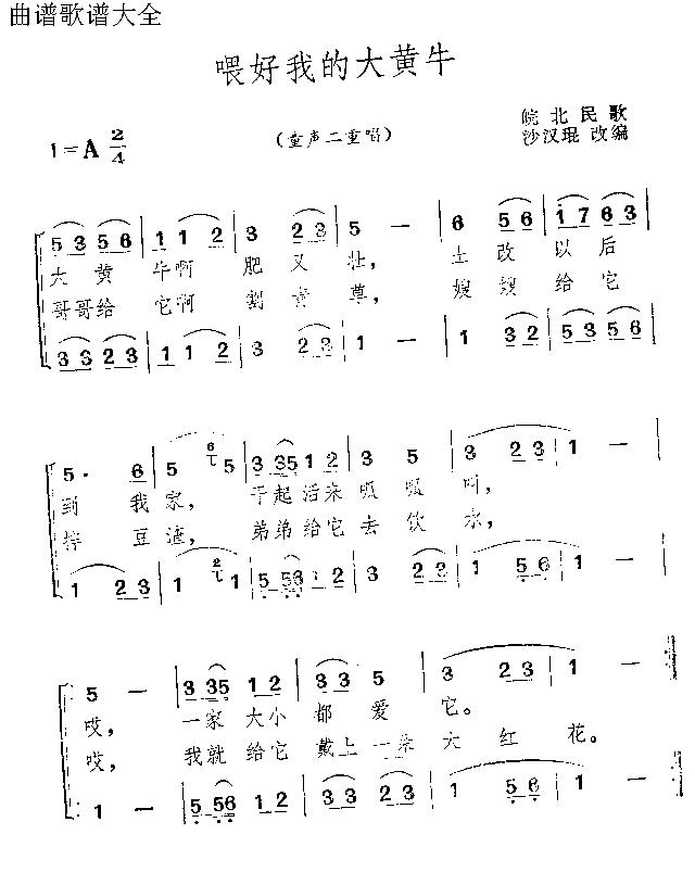 喂好我的大黄牛
