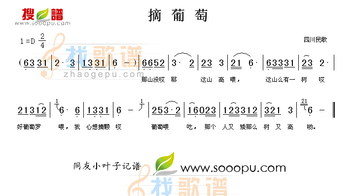 摘葡萄