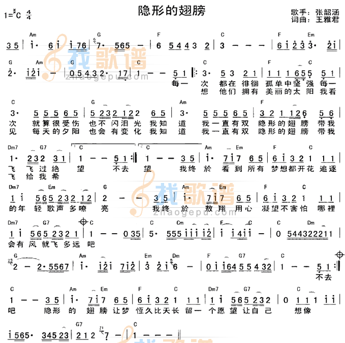隐形的翅膀