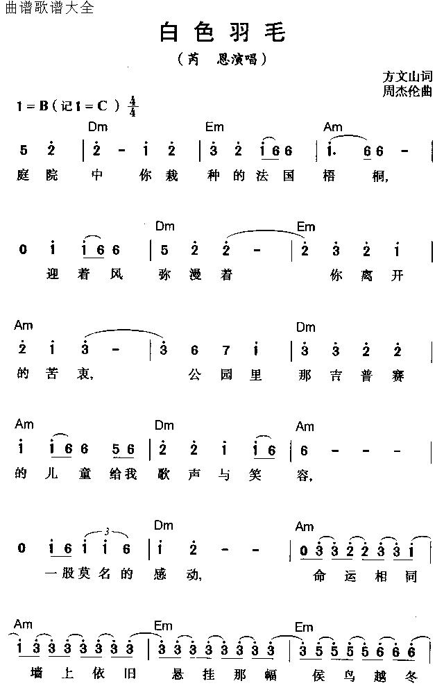 白色羽毛