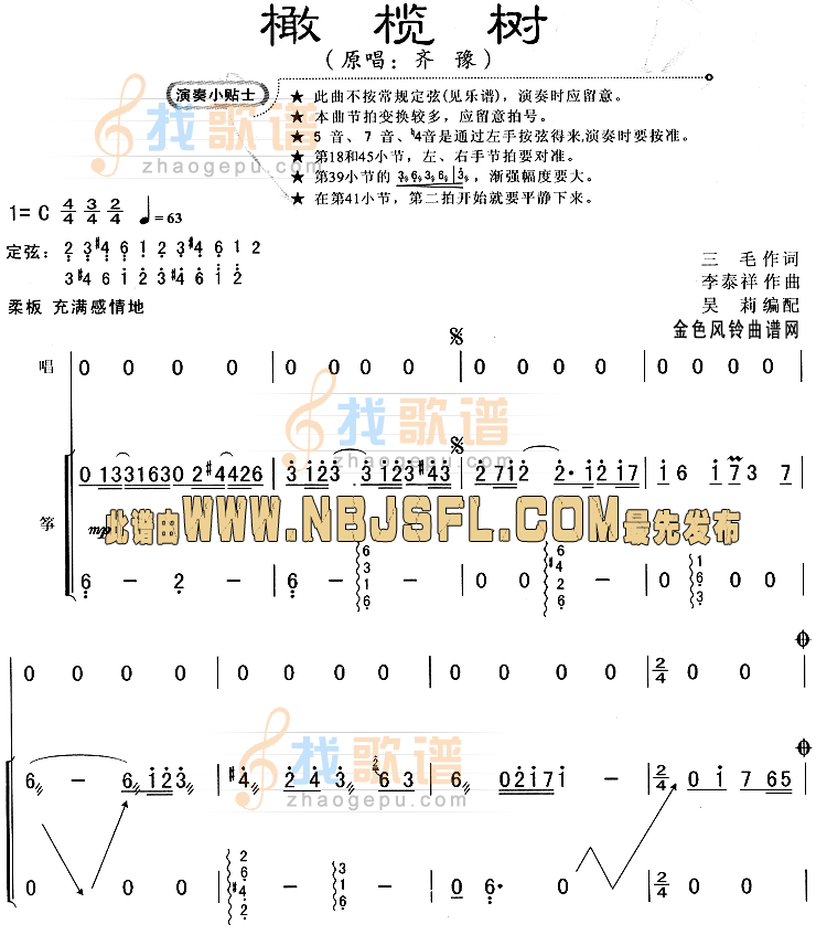 橄榄树