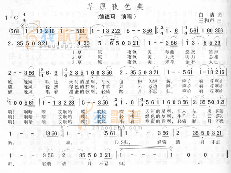 草原夜色美