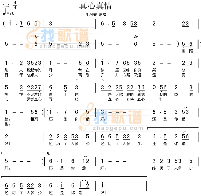 真心真情