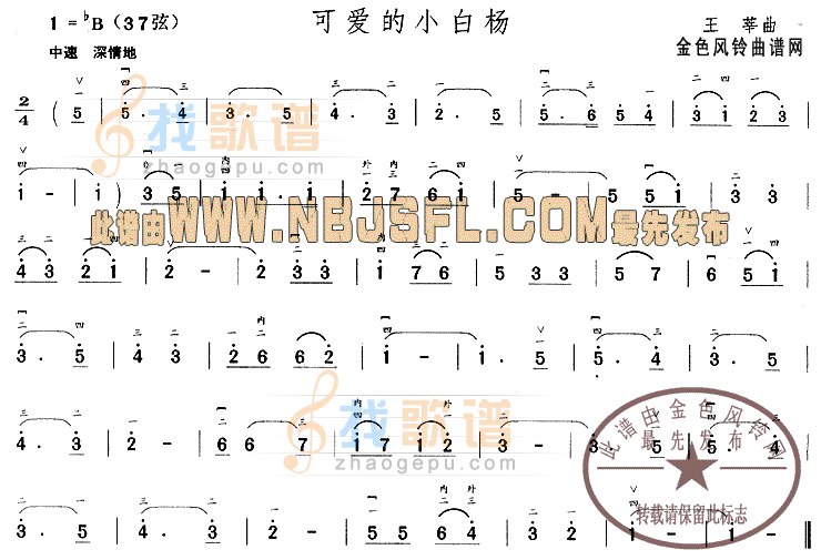 可爱的小白杨