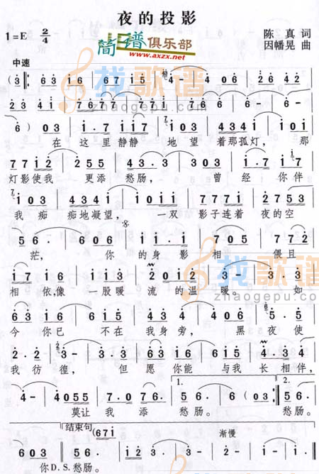 夜的投影
