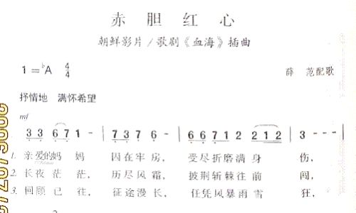 赤胆红心