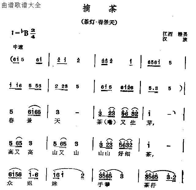 摘茶